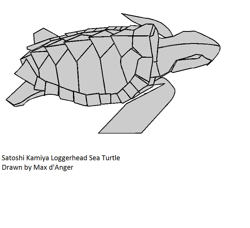 870x794 Loggerhead Sea Turtle Drawn On Inkscape I Drew This - Loggerhead Sea Turtle Drawing