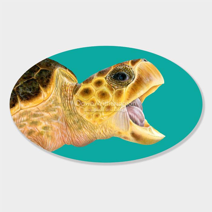 700x700 Loggerhead Sea Turtle With Open Mouth Drawnbydawn - Loggerhead Sea Turtle Drawing