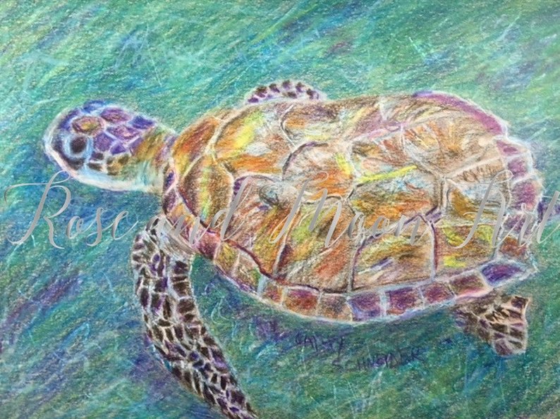 794x595 Original Colored Pencil Drawing Sea Turtle Drawing Original Etsy - Loggerhead Sea Turtle Drawing