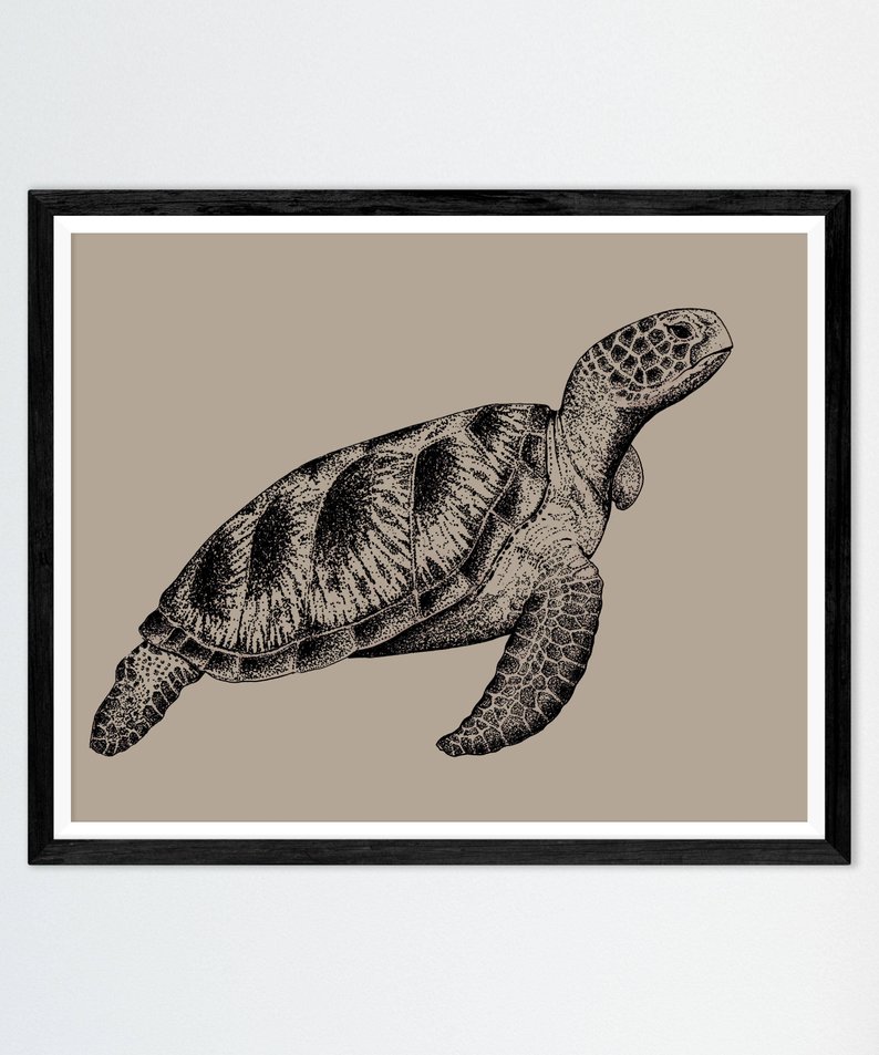 794x953 Sea Turtle Drawing Print Nautical Underwater Decor Marine Art Etsy - Loggerhead Sea Turtle Drawing