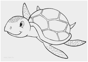 300x210 Loggerhead Turtle Coloring - Loggerhead Turtle Drawing