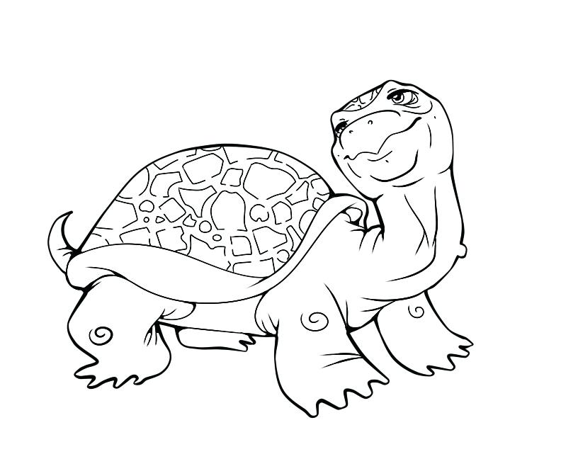 792x648 Coloring - Loggerhead Turtle Drawing