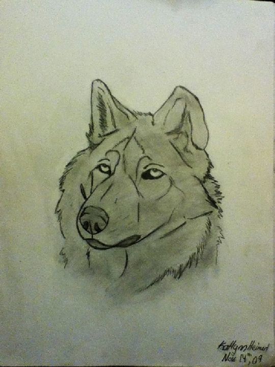 540x720 Lone Wolf - Lone Wolf Drawing