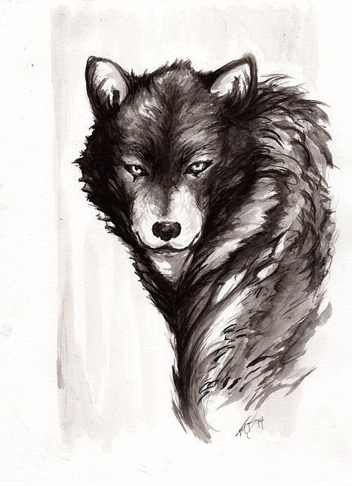 Lone Wolf Drawing at Explore collection of Lone