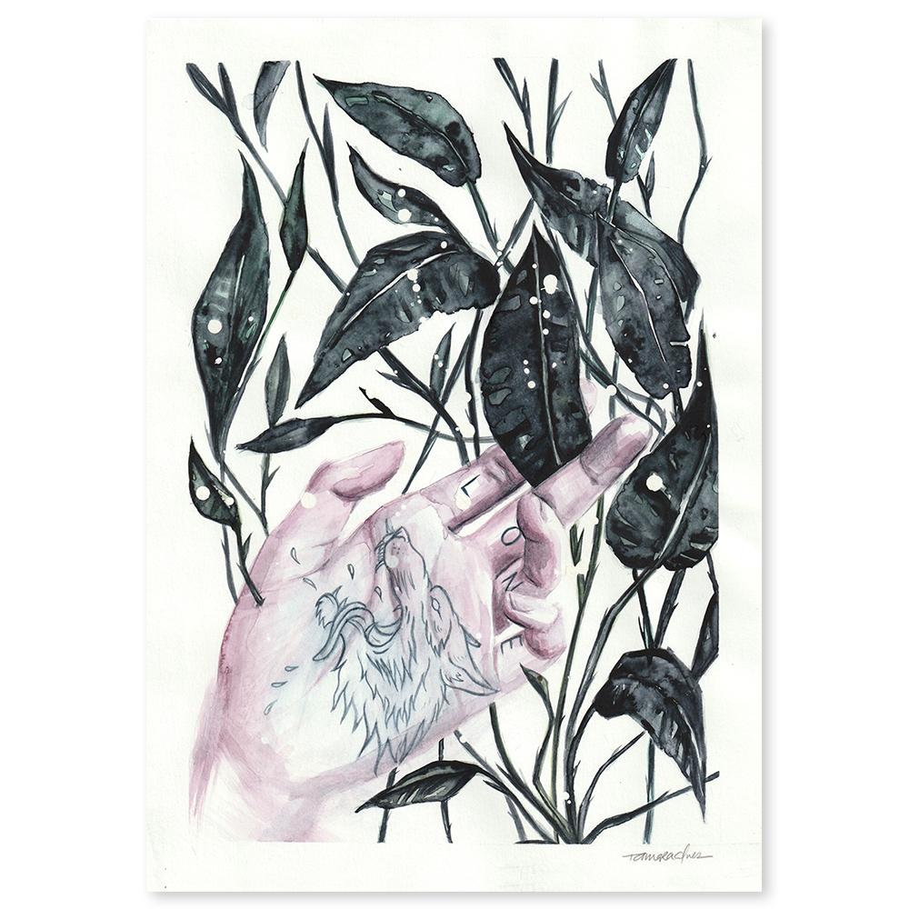 1000x1000 Lone Wolf Galeria - Lone Wolf Drawing