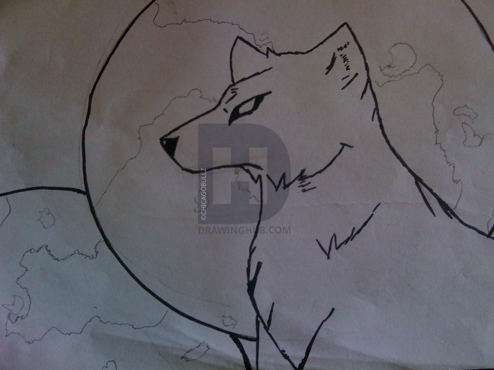 1600x1200 The Lone Wolf Drawing - Lone Wolf Drawing