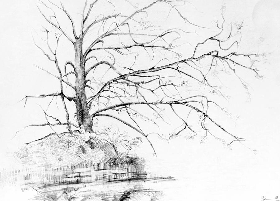 900x647 lonely drawing - Lonely Drawing