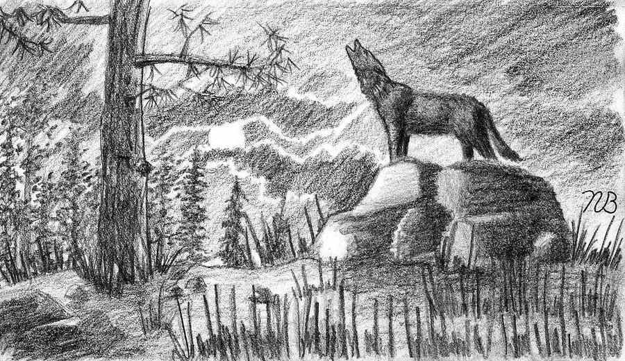 900x520 lonely night drawing - Lonely Drawing