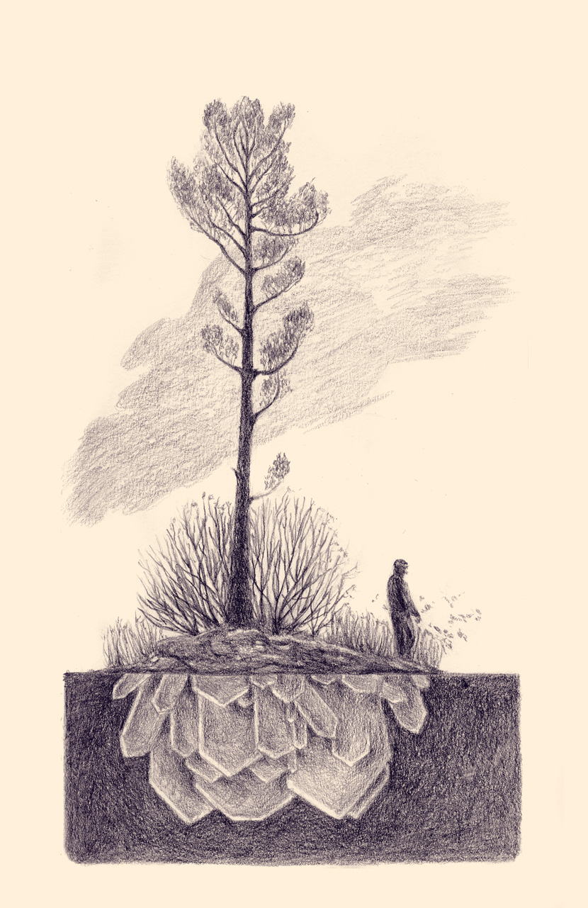 830x1281 Drawing - Lonely Drawing