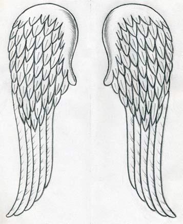 357x437 How To Draw Angel Wings Quickly In Few Easy Steps - Long Drawing