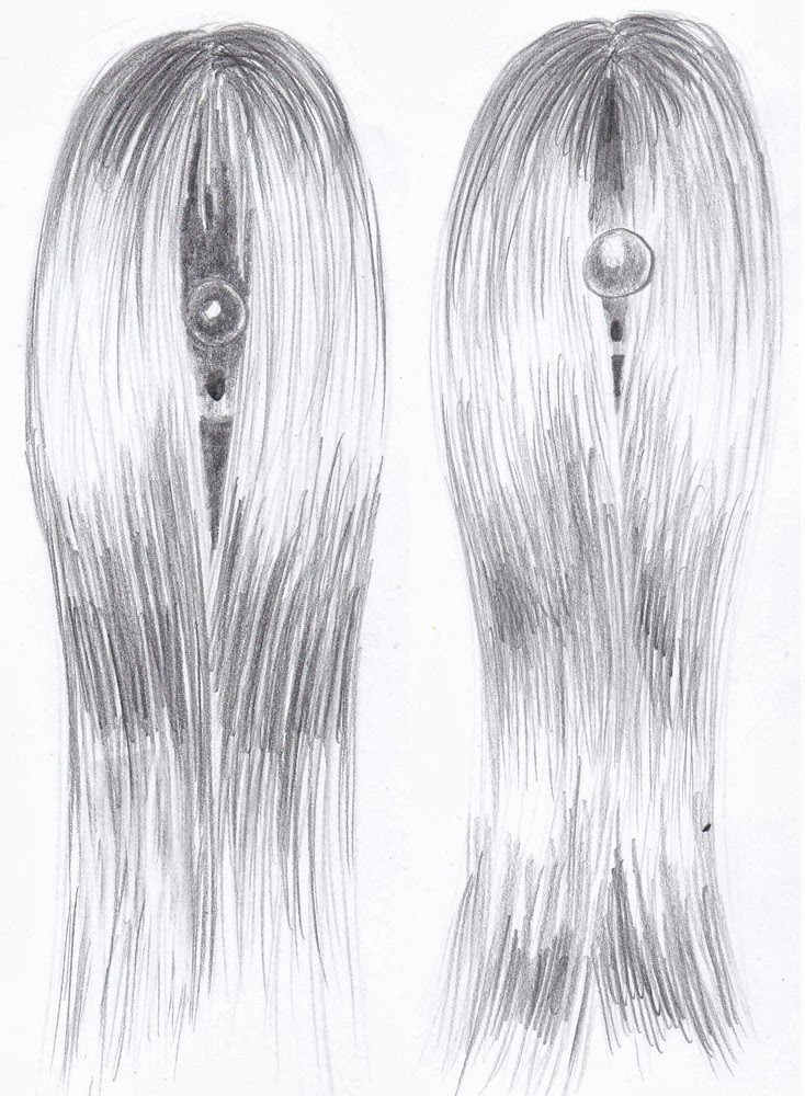 734x1000 weekly doodles and tuts drawspace lesson how to draw - Long Hair Drawing