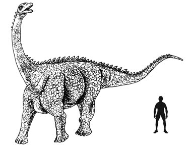 dinosaurs that have long necks