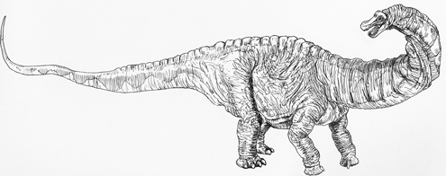 495x196 wonderful long necked dinosaurs - Long Neck Dinosaur Drawing