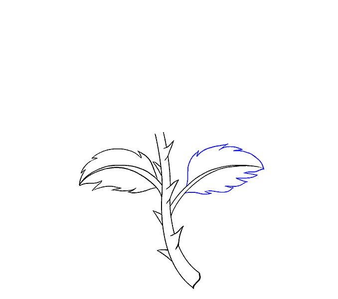 678x600 How To Draw A Rose In A Few Easy Steps Easy Drawing Guides - Long Stem Rose Drawing