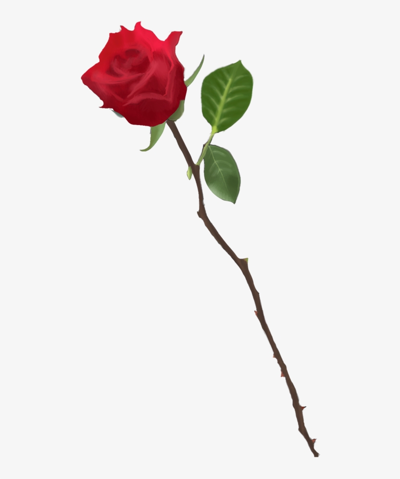 820x980 basic stem rose drawings - Long Stem Rose Drawing