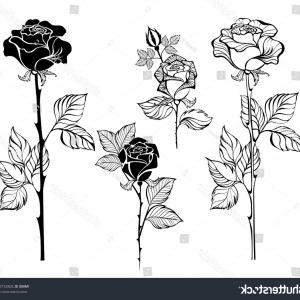 300x300 pink rose drawing with stem images sohadacouri - Long Stem Rose Drawing