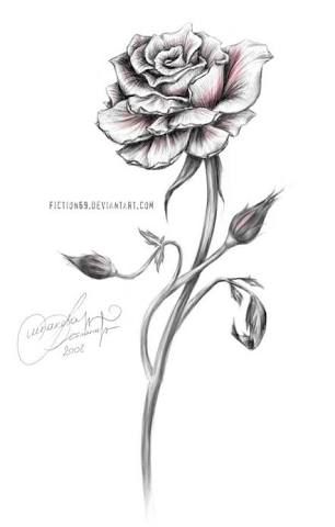 Long Stem Rose Drawing at PaintingValley.com | Explore collection of ...