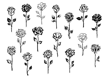 450x332 Black And White Collection Of Rose Icons In Sketch Style Each One - Long Stem Rose Drawing