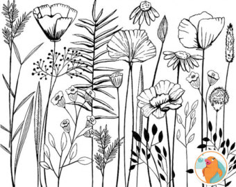 340x270 flower drawing with stem - Long Stem Rose Drawing