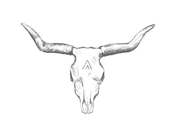 570x440 image result for longhorn bull skull tattoo tattoo bull skull - Longhorn Bull Drawing