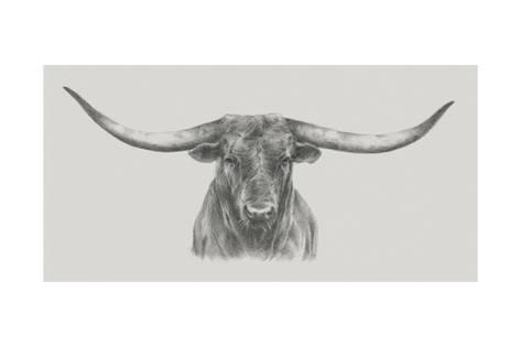 473x315 longhorn bull print - Longhorn Bull Drawing
