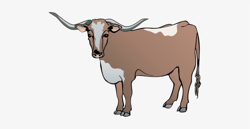820x425 longhorn cattle clipart drawing - Longhorn Bull Drawing