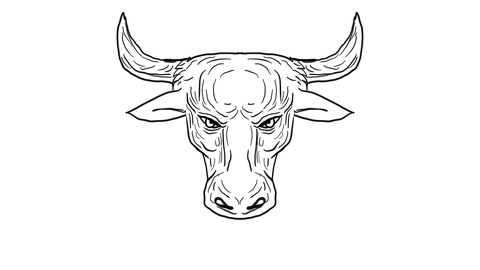 480x270 texas longhorn bull snorting drawing animation footage - Longhorn Bull Drawing