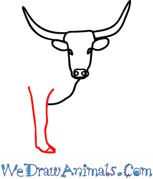 300x350 how to draw a longhorn cattle - Longhorn Bull Drawing
