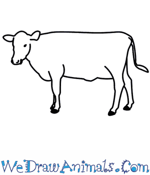 300x350 cow drawing easy how to draw a longhorn cattle coloring - Longhorn Cattle Drawings