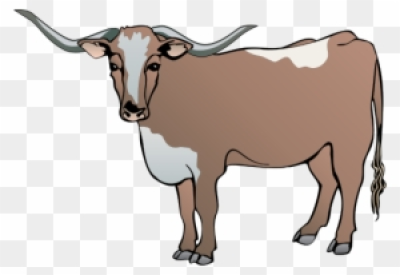 400x275 download free png longhorn cattle clipart drawing cow vector free - Longhorn Cattle Drawings