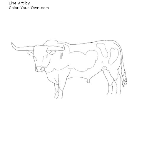 500x500 drawn bulls longhorn cattle - Longhorn Cattle Drawings