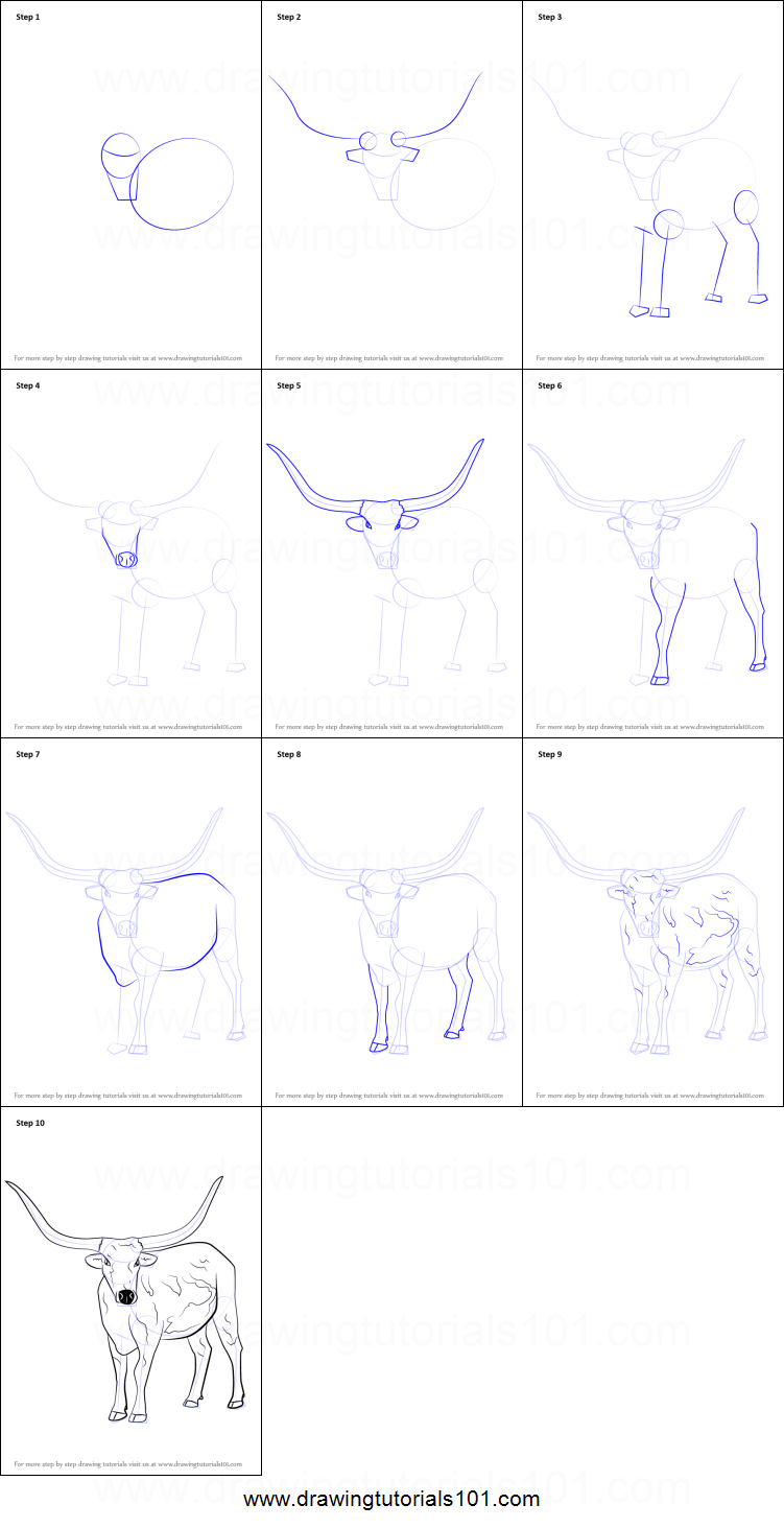 751x1463 how to draw a longhorn cattle printable step - Longhorn Cattle Drawings