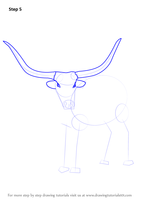 596x842 learn how to draw a longhorn cattle - Longhorn Cattle Drawings