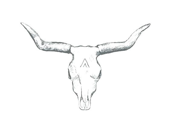 570x440 longhorn cow skull canvas painting clairesoftware - Longhorn Cattle Drawings