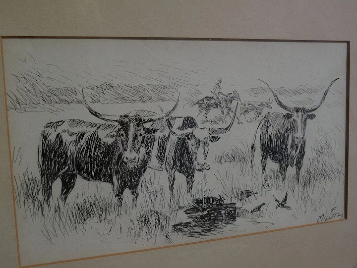 720x541 southwest art signed ink drawing of longhorn cattle possibly new - Longhorn Cattle Drawings