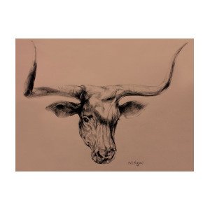 300x300 Longhorn Drawing Drawing - Longhorn Drawing