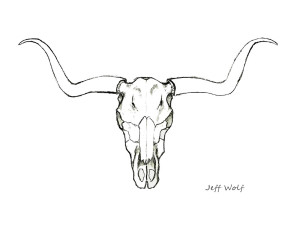 300x231 Longhorn Skull - Longhorn Drawing
