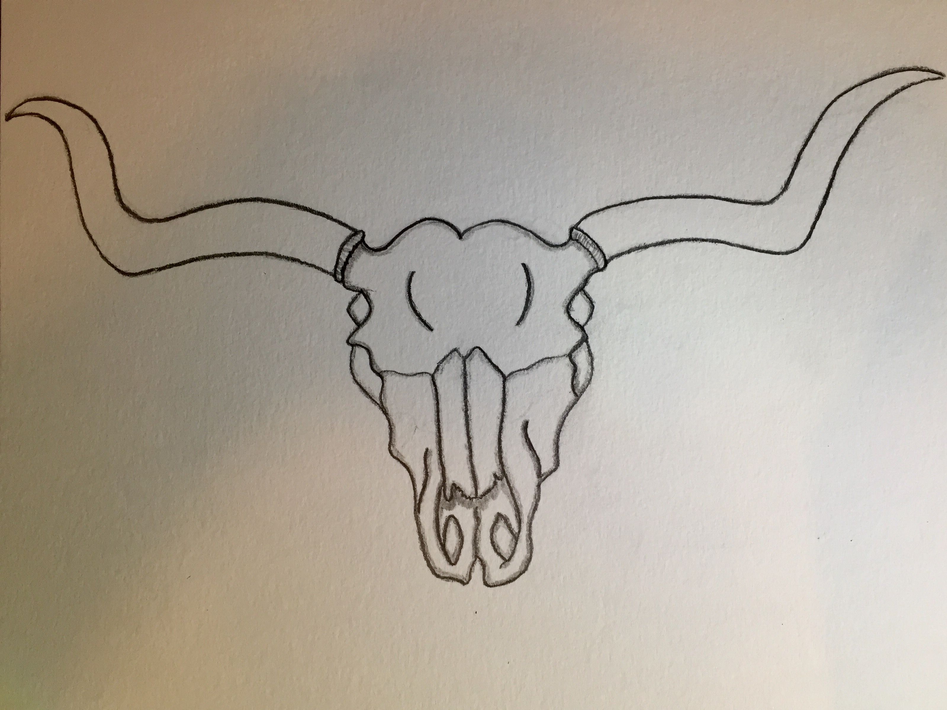 3199x2399 Longhorn Skull Drawing Diy Doodle Drawings, Drawings, Art - Longhorn Drawing