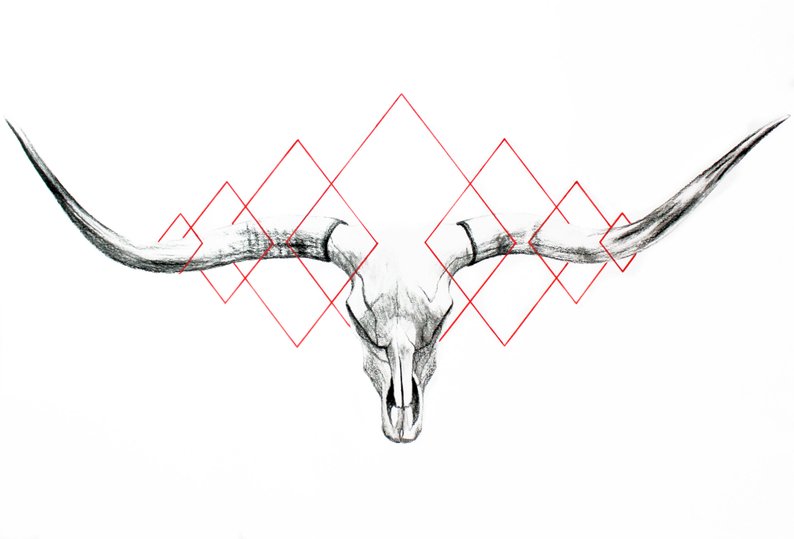 794x539 Longhorn Skull Original Drawing Etsy - Longhorn Drawing