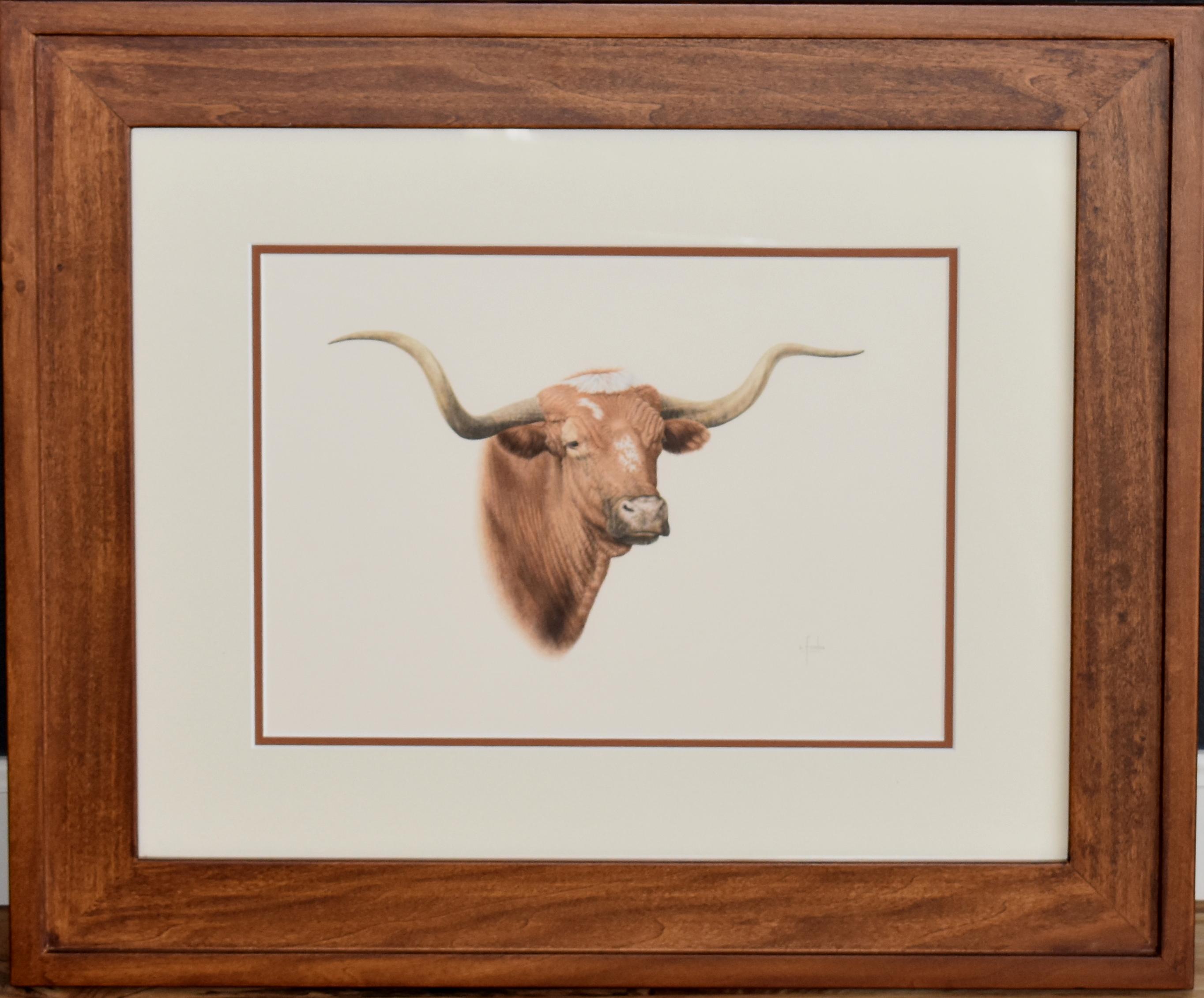 2728x2260 Steve Forbis - Longhorn Drawing