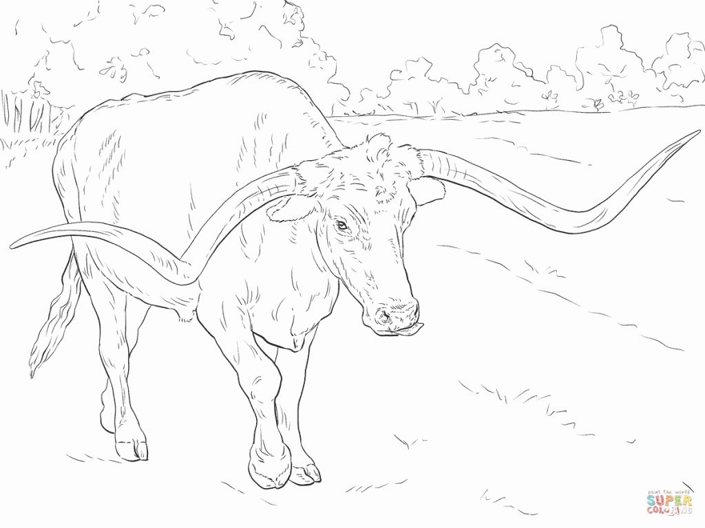1024x768 Texas Longhorn Drawing Longhorns Coloring Pages - Longhorn Drawing