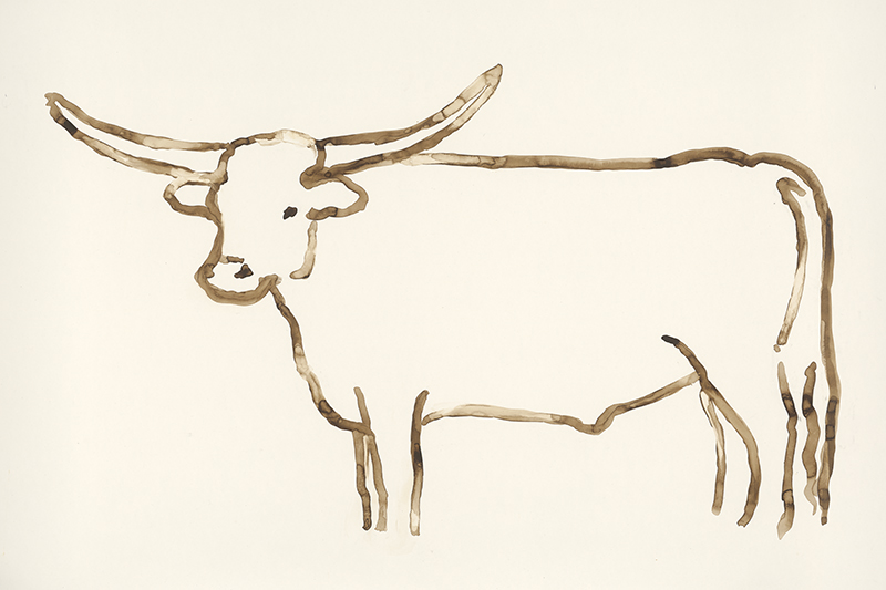 800x533 Biscuit Debuts New Collection With Houston Artist Mary H Case - Longhorn Drawing