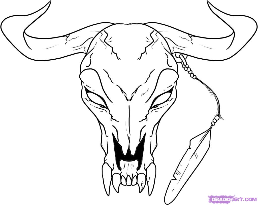 1024x815 draw a longhorn head skull, step - Longhorn Drawing