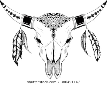 352x280 Huge Collection Of 'longhorn Skull Drawing' Download More Than - Longhorn Drawing