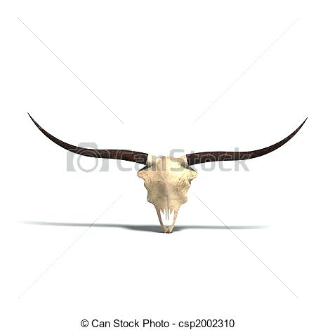 450x470 Detail Texas Long Horn Skulls Genuine Longhorn Skull - Longhorn Skull Drawing