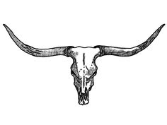 236x177 Steer Skull Template Can't Find The Perfect Clip Art Templates - Longhorn Skull Drawing