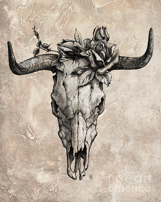 Longhorn Skull Drawing at PaintingValley.com | Explore collection of