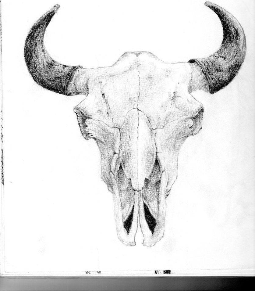 837x954 Bull Skull Drawings Bull Skull - Longhorn Skull Drawing