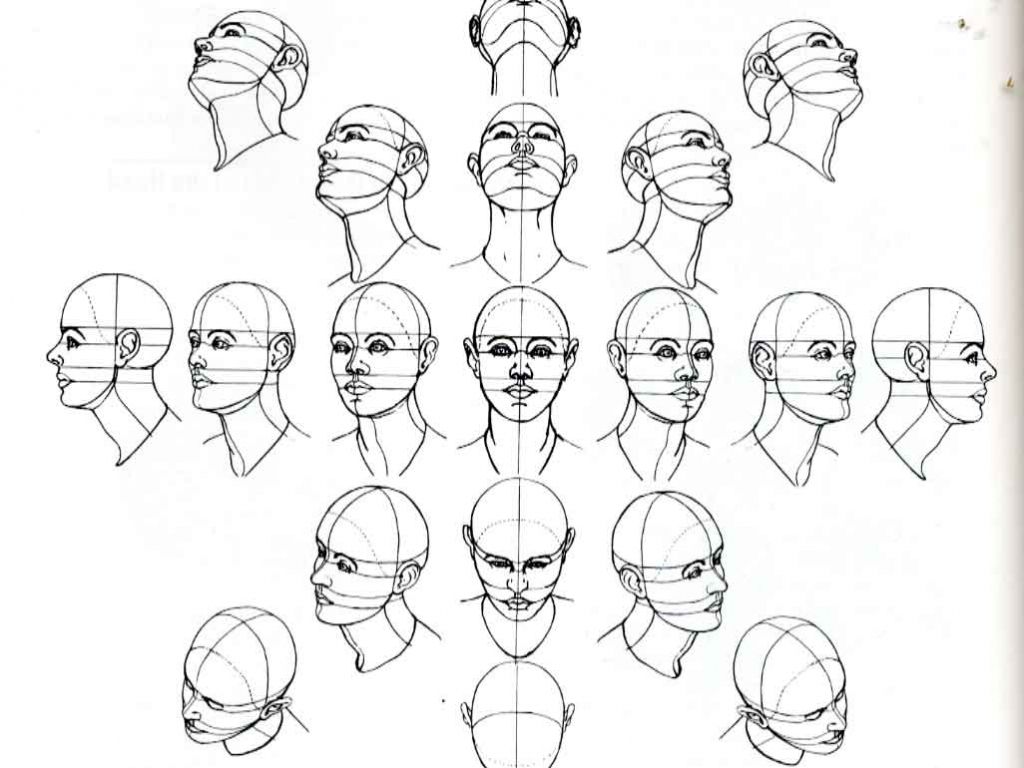 1024x768 Image Result For Face Looking Up Art Drawings, Drawing - Looking Up Drawing