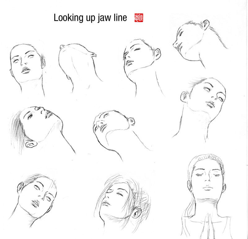800x771 looking up jaw line - Looking Up Drawing
